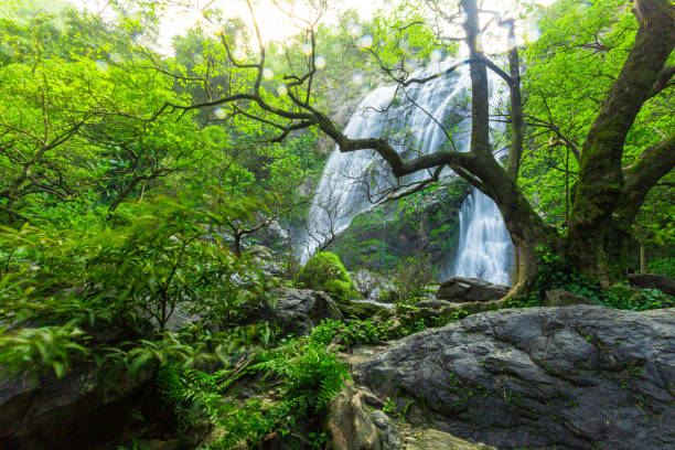 istock Khlong Lan waterfall, Kamphaeng Phet Province, Thailand 1155633489