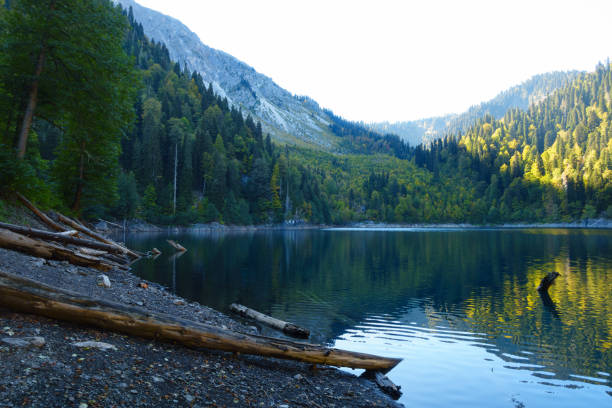 istock Moutain Small Ritsa lake, Abkhazia 1155635894