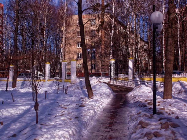 istock paved path on a clear day in the Park in winter 1155638128