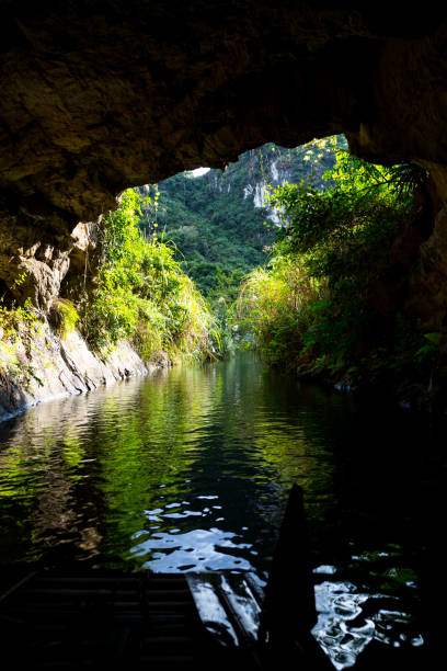 istock Jungle landscape at Ninh Binh 1155640008