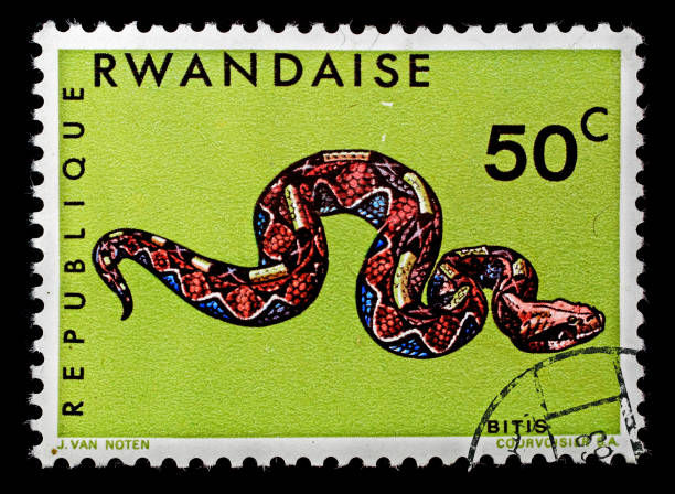 istock Postmark Rwandese Republic snake 1155642390