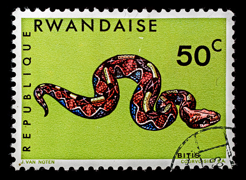 Postmark Republique Rwandaise Snake  isolated on black background
