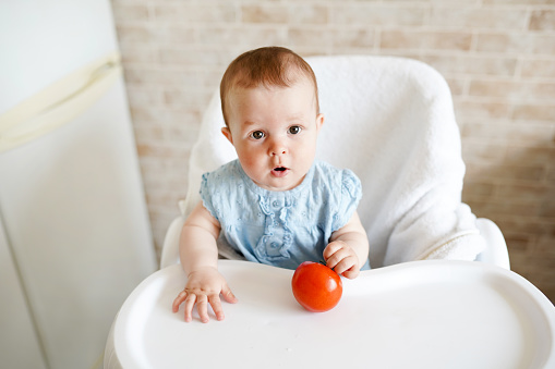 Baby eating vegetables. red tomato in little girl hand in sunny kitchen. Healthy nutrition for kids. Solid food for infant. Snack or breakfast for young child.