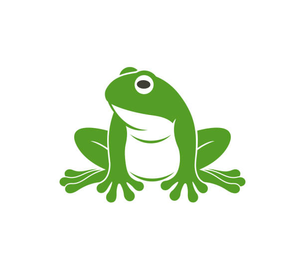 Green frog. Abstract frog on white background EPS 10. Vector illustration giant frog stock illustrations