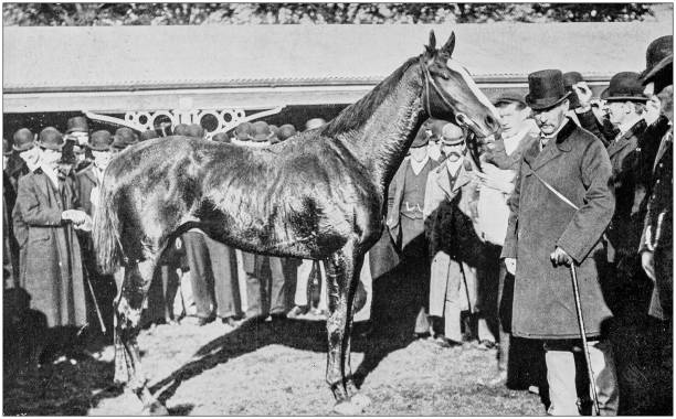 istock Antique vintage black and white photo: Racing horse 1155647841