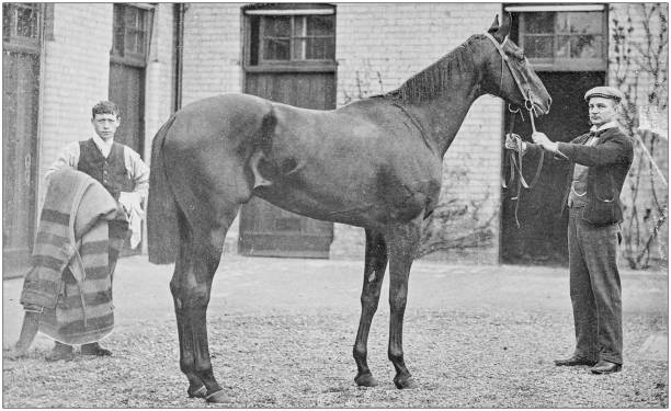 istock Antique vintage black and white photo: Racing horse 1155651032