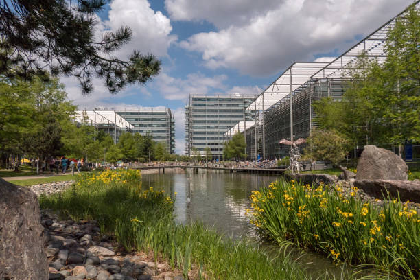Modern office buildings in a business park, situated around a pond Modern offices in a business park, situated around a pond. Beautiful landscaping. Photo was taken in Chiswick, London chiswick stock pictures, royalty-free photos & images