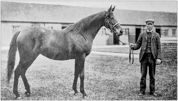 istock Antique vintage black and white photo: Racing horse 1155653131
