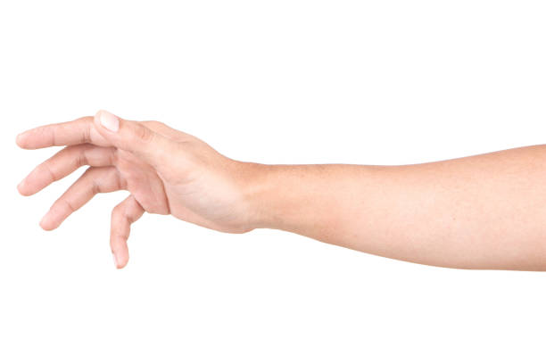 istock Male Caucasian hand gestures isolated over the white background. 1155653845
