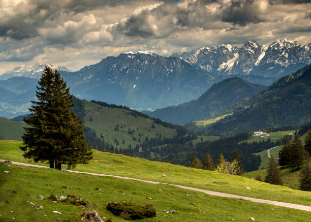 istock Trail to Mount Wendelstein in Upper Bavaria 1155654431