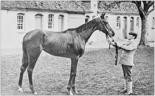 istock Antique vintage black and white photo: Racing horse 1155655254