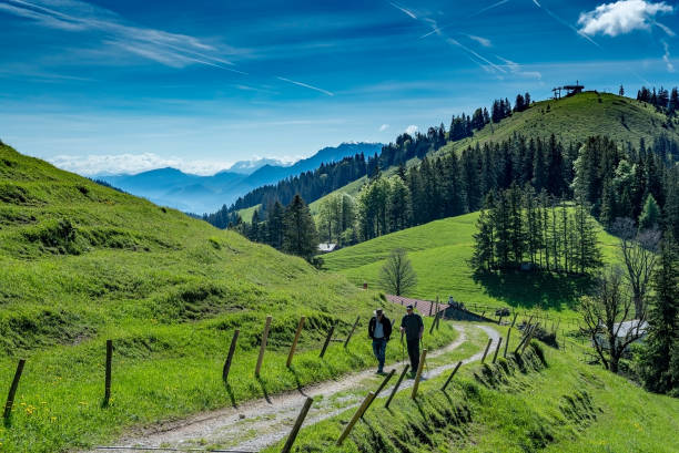 Attractive man hiking in the Bavarian Alps in spring.