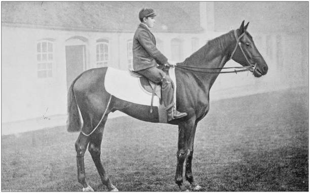 istock Antique vintage black and white photo: Racing horse 1155655859
