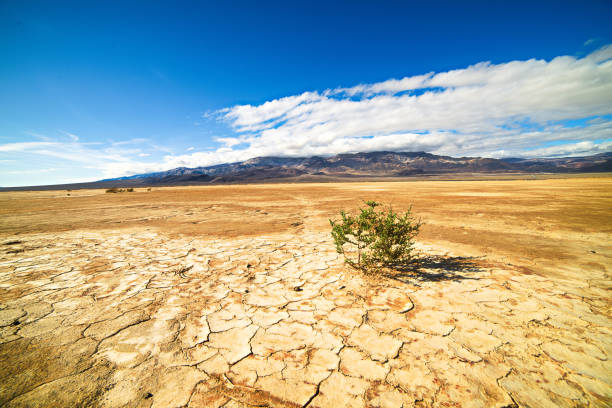 istock Death Valley National park 1155657072