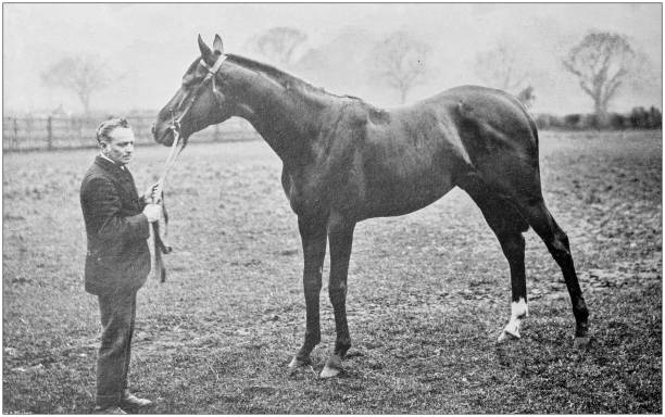 istock Antique vintage black and white photo: Racing horse 1155657156