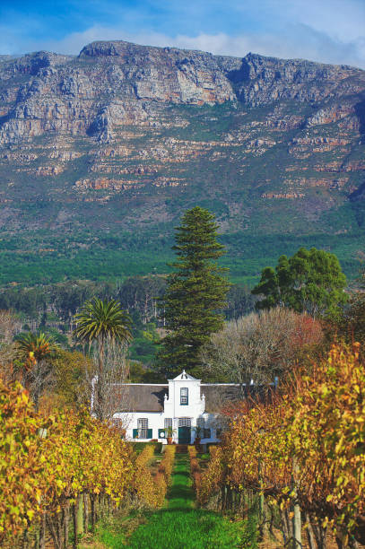 ケープ・ダッチ・ホームステッドとワイン・エステートの広い眺めと山々 - south africa cape town winelands constantia ストックフォトと画像