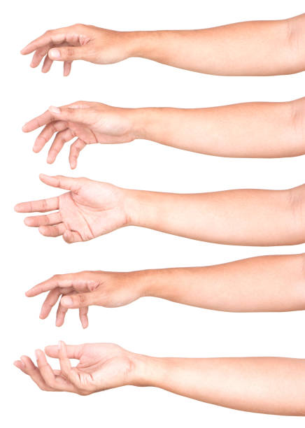 istock Multiple Male Caucasian hand gestures isolated over the white background, set of multiple images. 1155657563