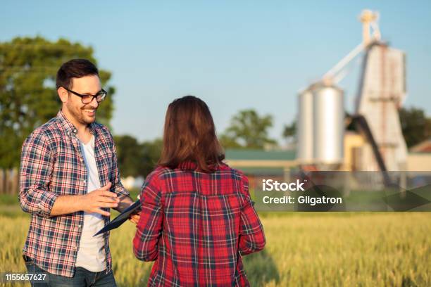 Two Happy Young Female And Male Farmers Or Agronomists Talking In A Wheat Field Consulting And Discussing Stock Photo - Download Image Now