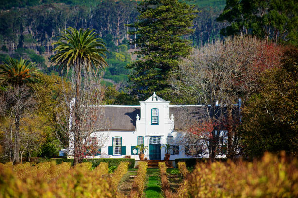 herdade holandesa do cabo e propriedade bonita do vinho - south africa cape town winelands constantia - fotografias e filmes do acervo