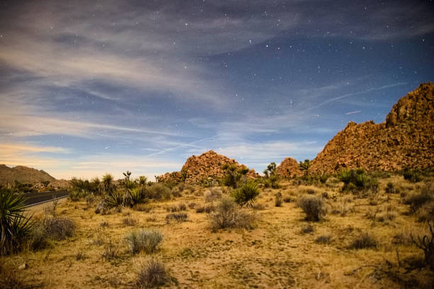 istock Joshua Tree national park 1155658553