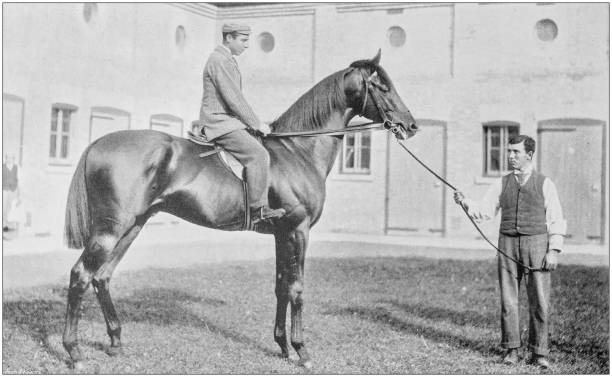 istock Antique vintage black and white photo: Racing horse 1155659953