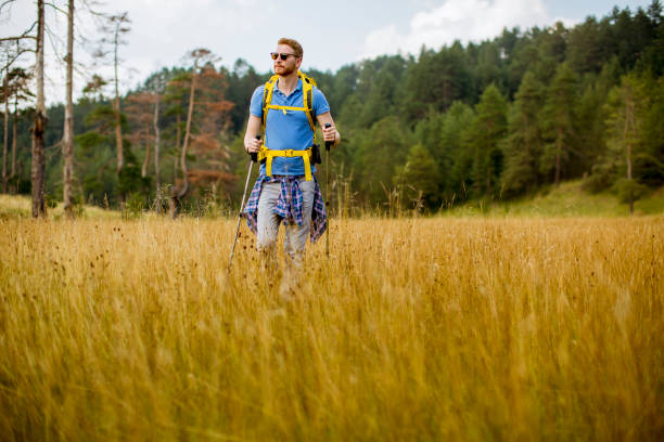 istock Young hiker enjoys a sunny day on the mountain 1155662922