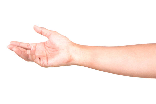 istock Male Caucasian hand gestures isolated over the white background. 1155663018