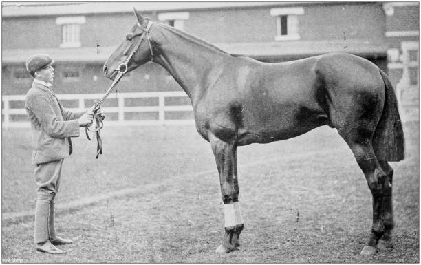 istock Antique vintage black and white photo: Racing horse 1155664121