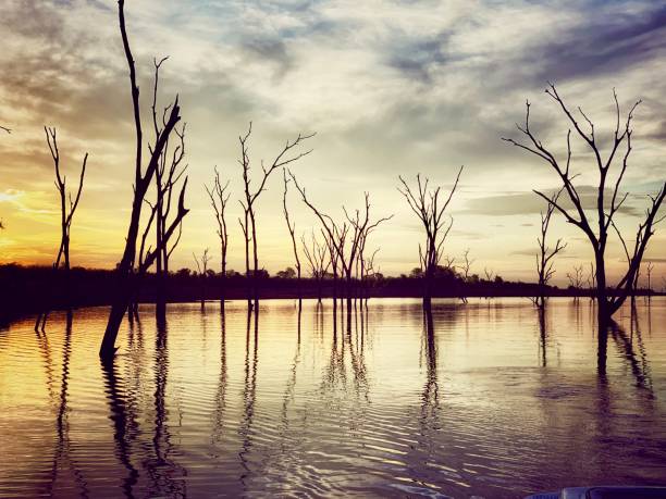 istock Lake Kariba sunset, Zimbabwe 1155665353