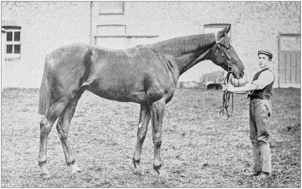 istock Antique vintage black and white photo: Racing horse 1155665449