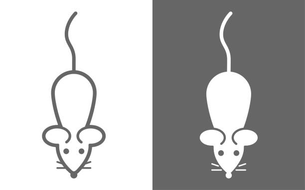 ilustraciones, imágenes clip art, dibujos animados e iconos de stock de icono simple del ratón de dibujos animados - ratón animal