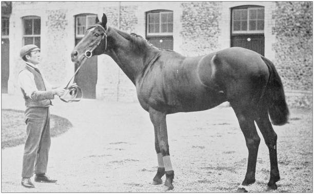 istock Antique vintage black and white photo: Racing horse 1155666905