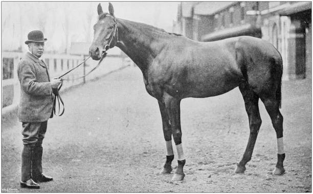 istock Antique vintage black and white photo: Racing horse 1155668067