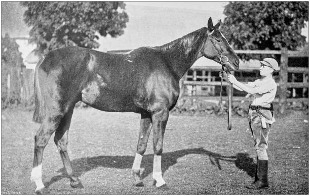 istock Antique vintage black and white photo: Racing horse 1155668397