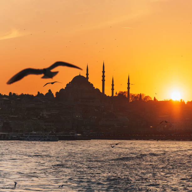 istock Suleymaniye Mosque at sunset 1155669219