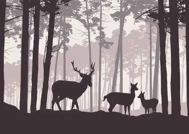 Vector illustration of Realistic illustration of mountain landscape with coniferous forest under sky with haze. Deer, doe and little deer standing and looking into valley - retro vector