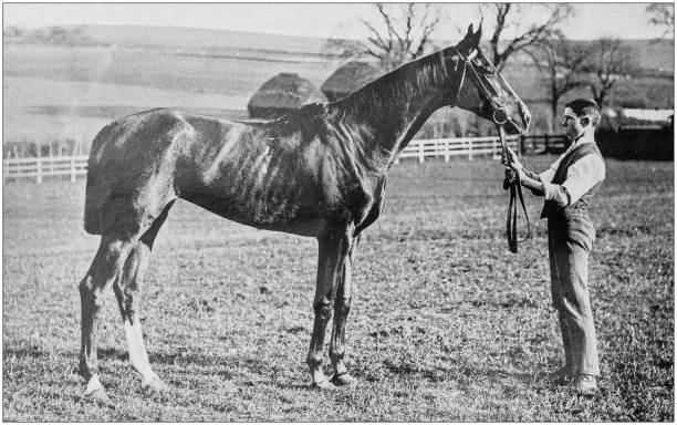 istock Antique vintage black and white photo: Racing horse 1155671870