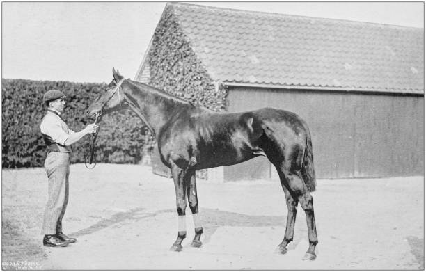 istock Antique vintage black and white photo: Racing horse 1155673054