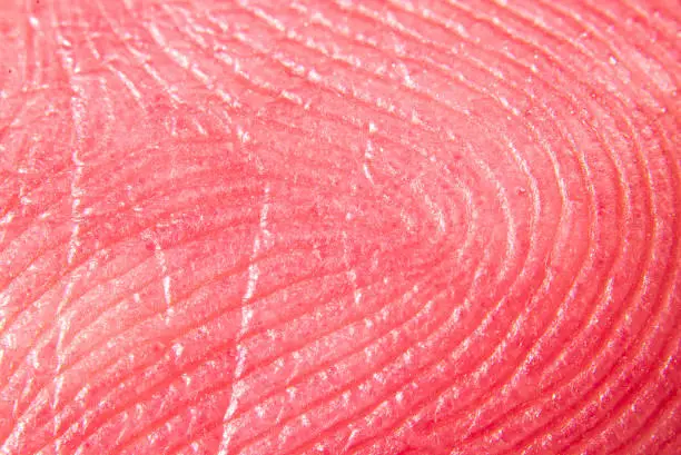 macro image of human finger prints in magnification close up