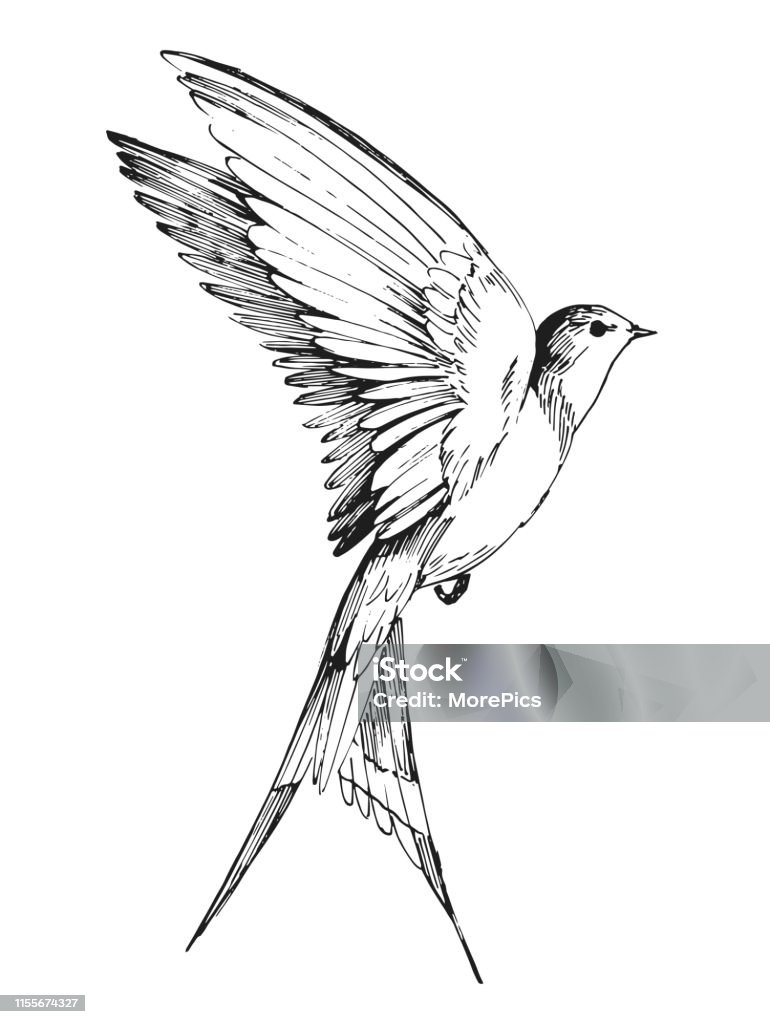 Esboço de uma andorinha do vôo. Entregue a ilustração desenhada convertida ao vetor - Vetor de Pássaro royalty-free