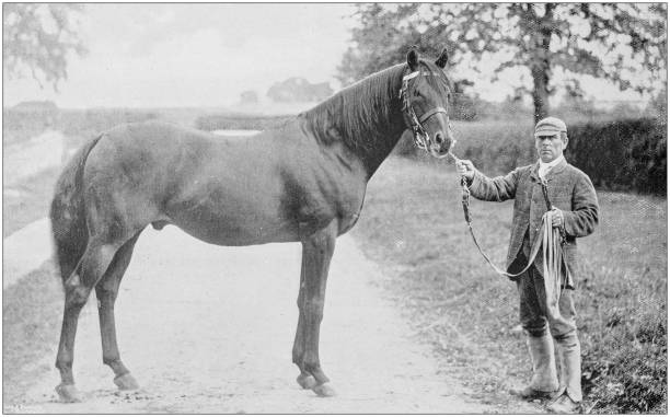 istock Antique vintage black and white photo: Racing horse 1155674376