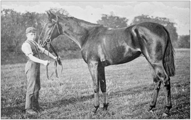istock Antique vintage black and white photo: Racing horse 1155675194
