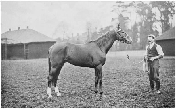 istock Antique vintage black and white photo: Racing horse 1155675366