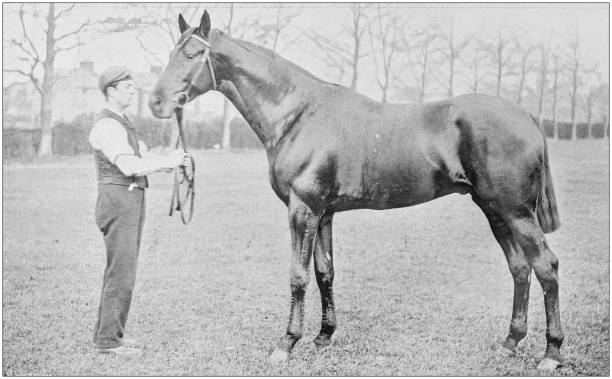 istock Antique vintage black and white photo: Racing horse 1155676732