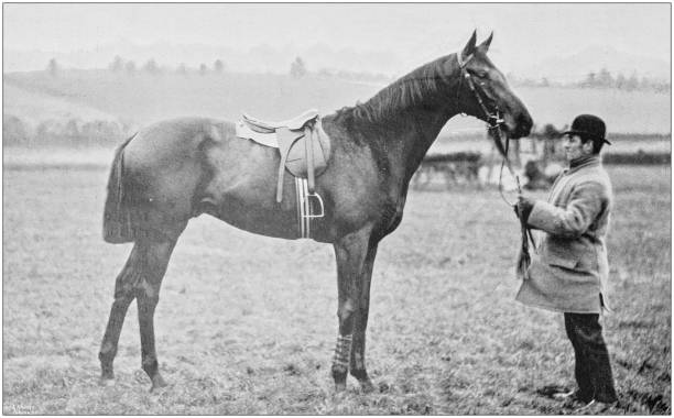 istock Antique vintage black and white photo: Racing horse 1155677847