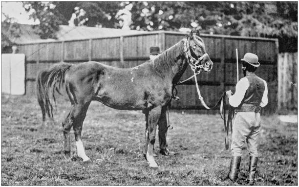 istock Antique vintage black and white photo: Racing horse 1155677963