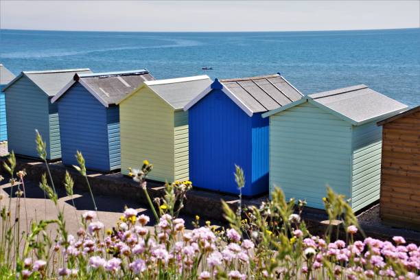 красочные пляжные хаты у английского побережья в бадли солтертон, саут-девон - budleigh стоковые фото и изображения
