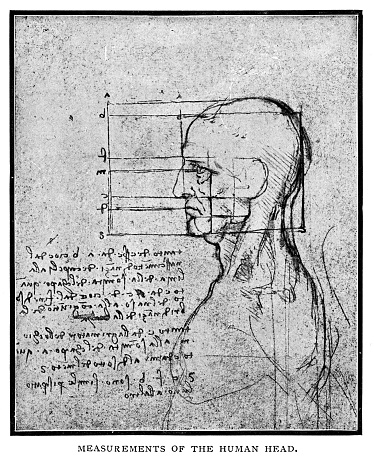 Measurements of the human head by Leonardo Da Vinci - Scanned 1898 Engraving