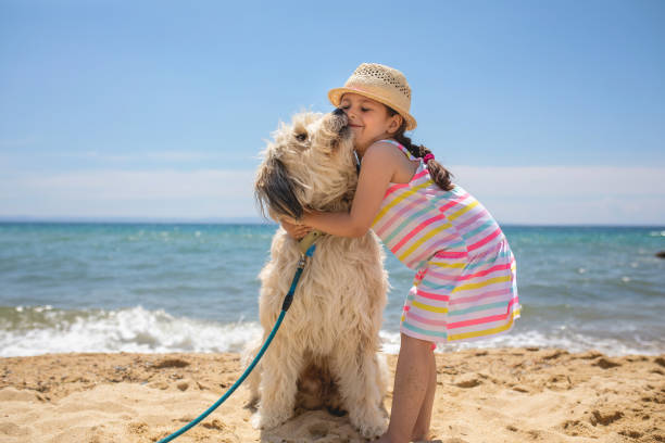 I love my new furry friend Adorable young girl enjoying family vacation on a summer day at the beach. dog swimsuit stock pictures, royalty-free photos & images