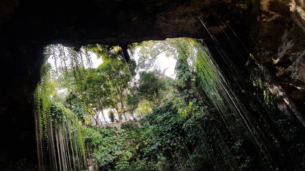 istock Cenote Ik kil in Mexico 1155682788